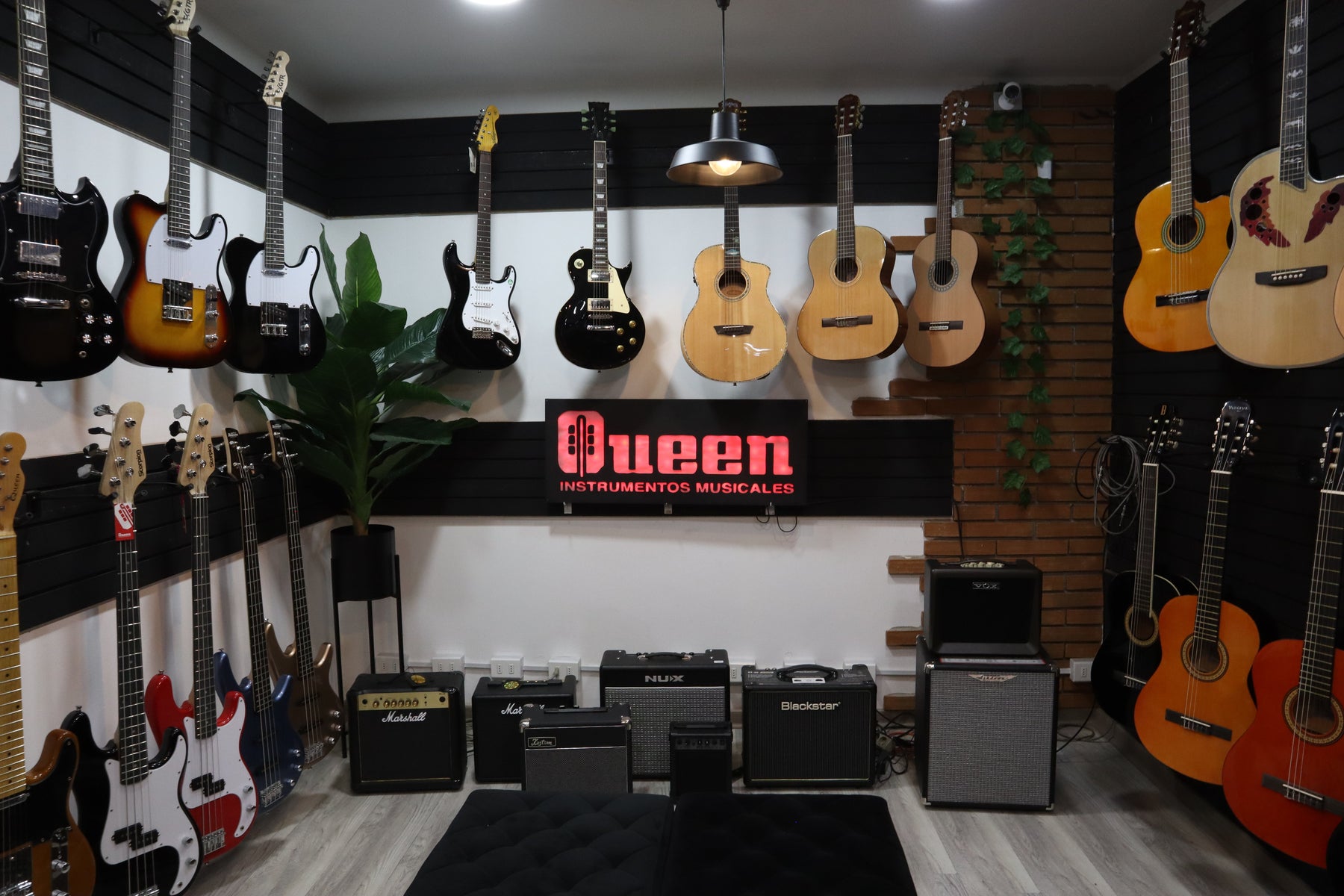 18 años de Queen Instrumentos: una historia de familia, desafíos y música