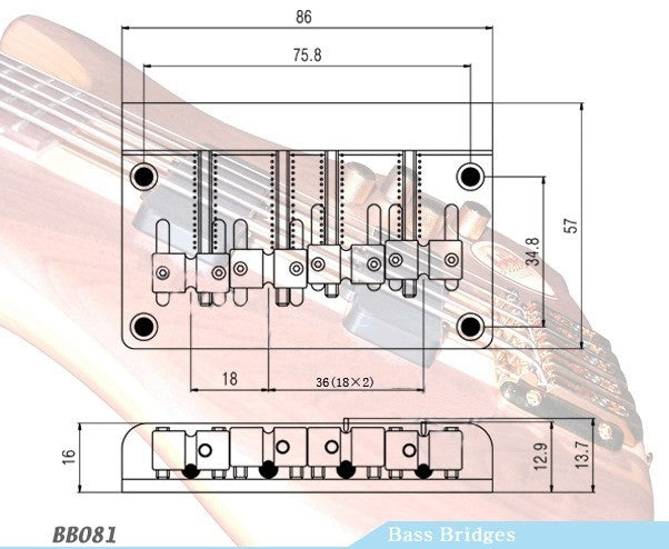 Puente Bajo 4 Cuerdas BB081CR