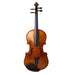 Viola 15" Creep HVA2401 Maple