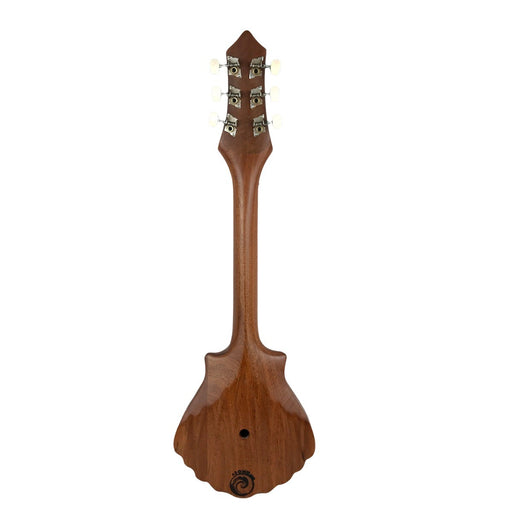 Ukelele Conchita Híbrido Asonu