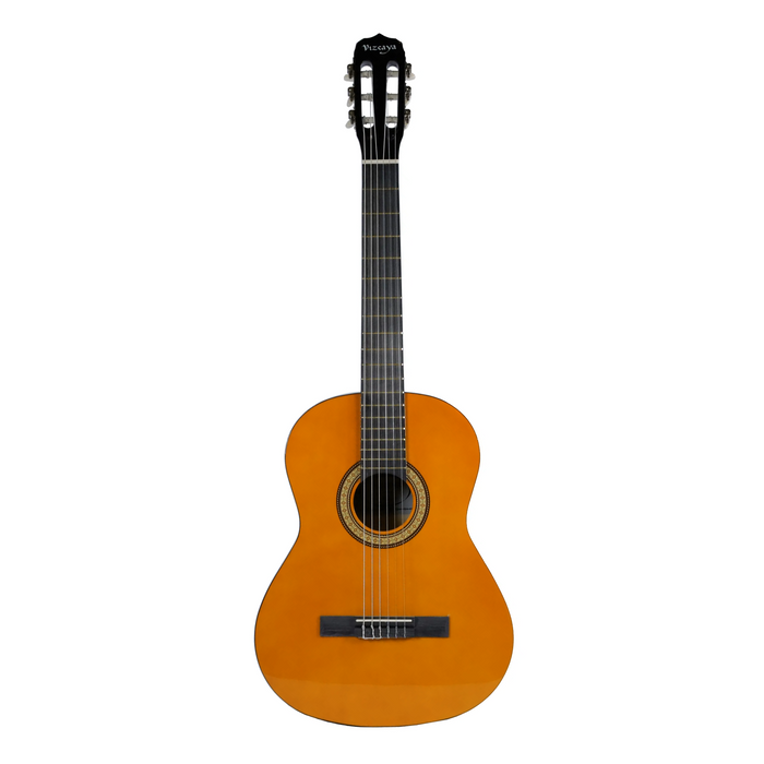 Guitarra Acústica ARCG44 Natural