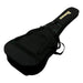 Funda Guitarra Clásica Ibanez ICB101 - vista 2
